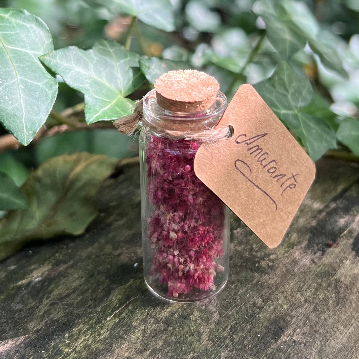 Fiole d’Amarante séchée - Immortalité - Prospérité - Gratitude