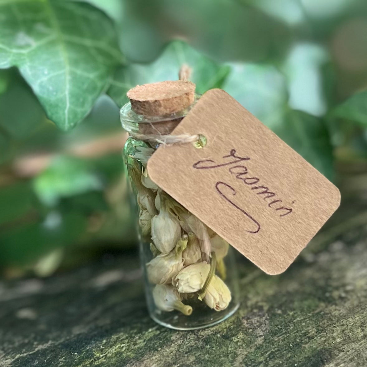 Fiole de Jasmin séché / Amour - Prophétie - Chance