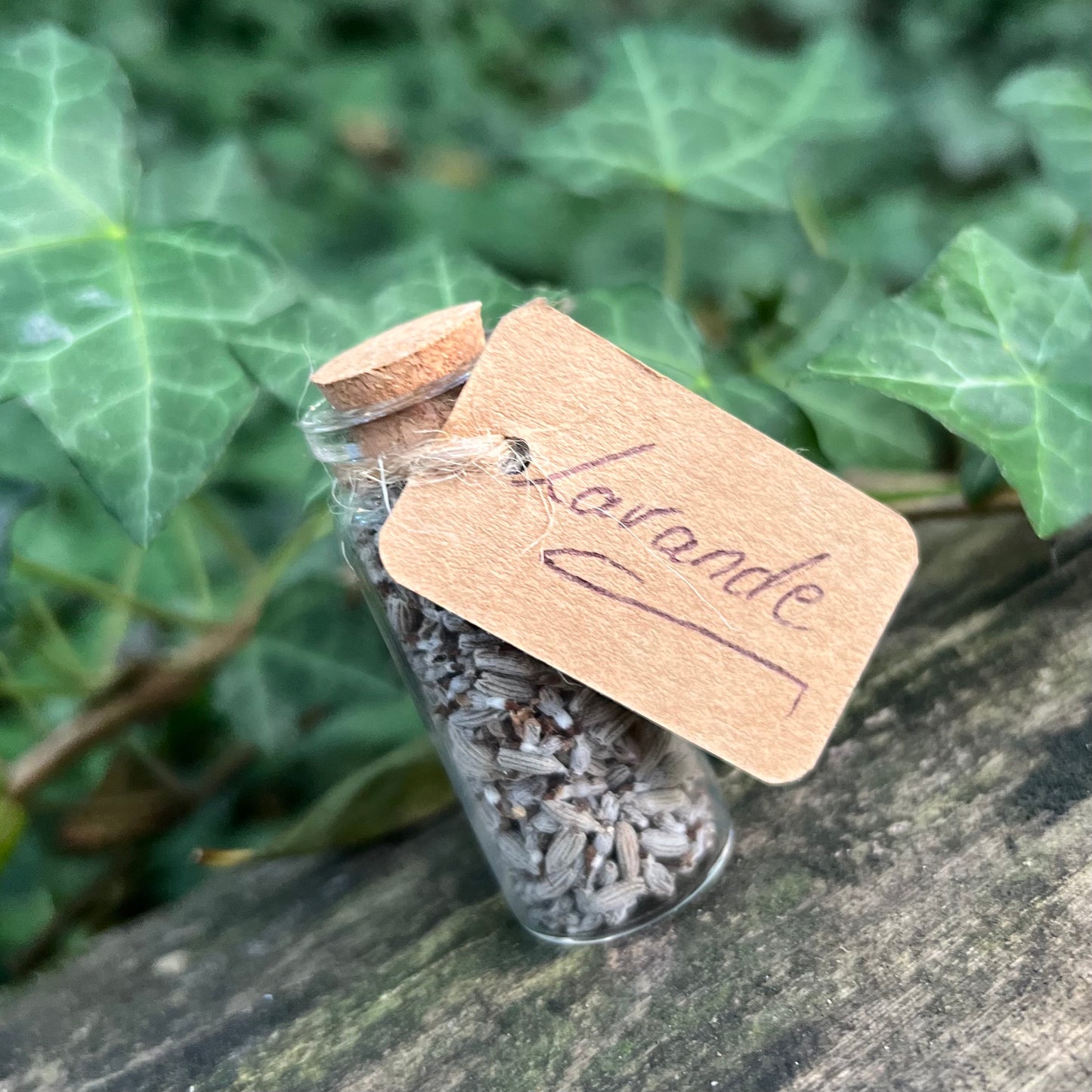 Fiole de Lavande séchée / Relaxation - Purification - Harmonie