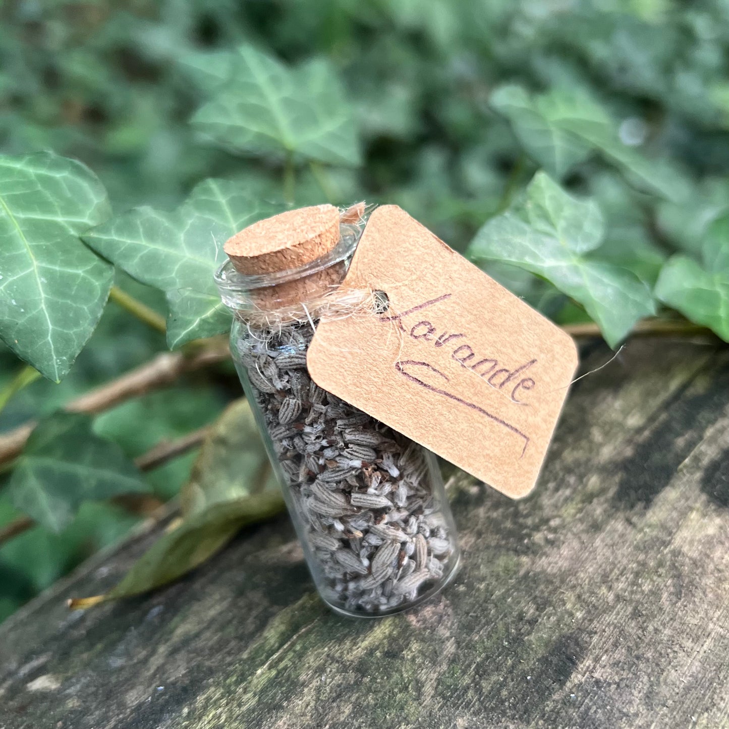 Fiole de Lavande séchée / Relaxation - Purification - Harmonie