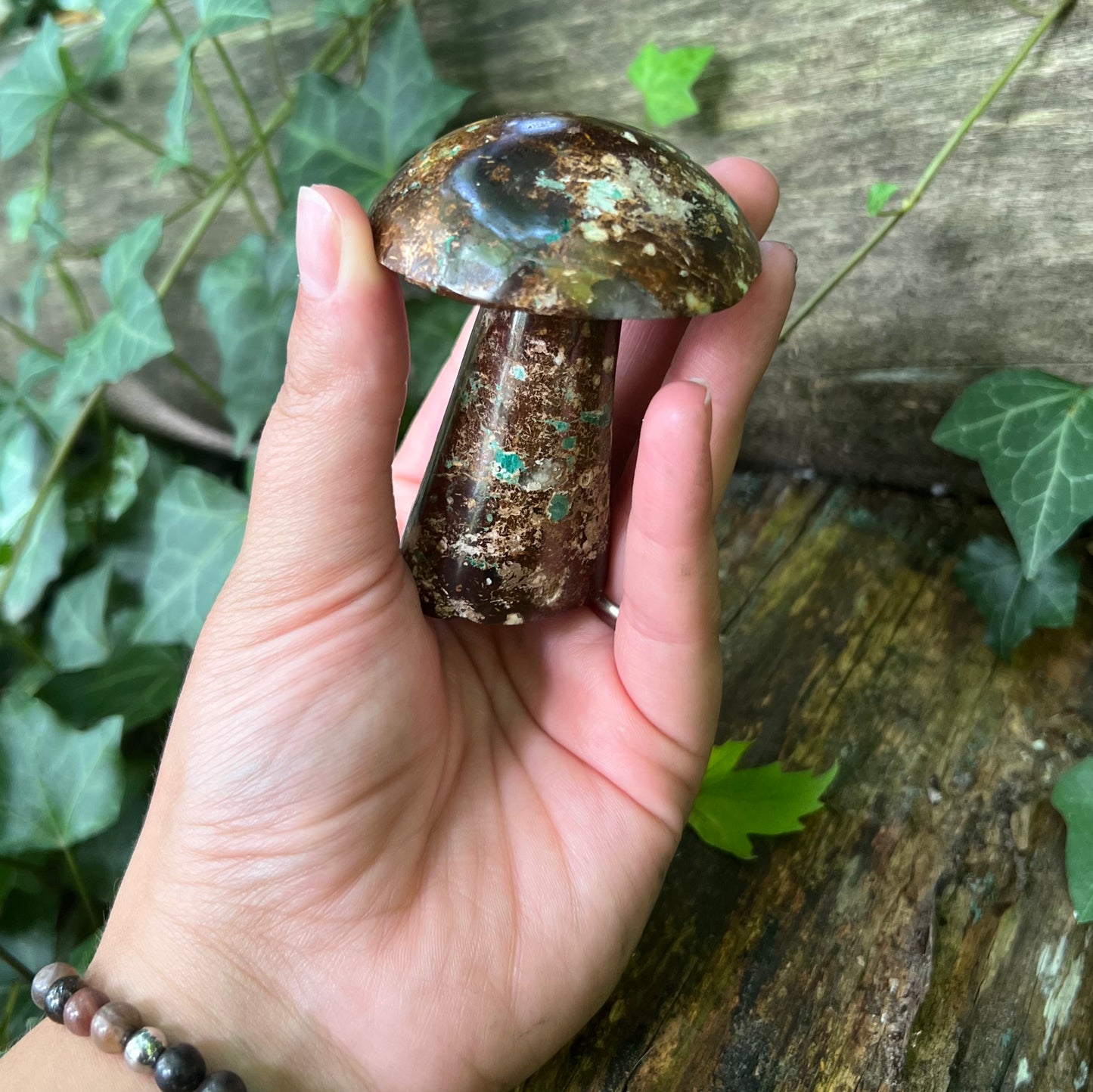 Champignon Chrysocolle - 190g