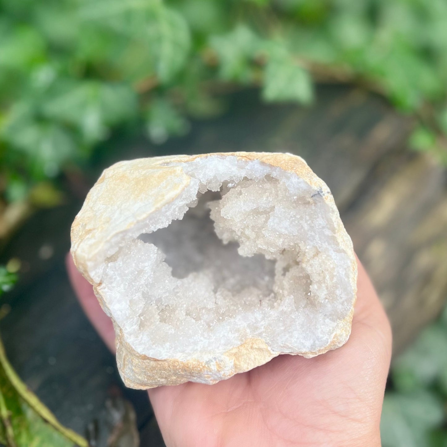Géode de Quartz - 550 à 700g
