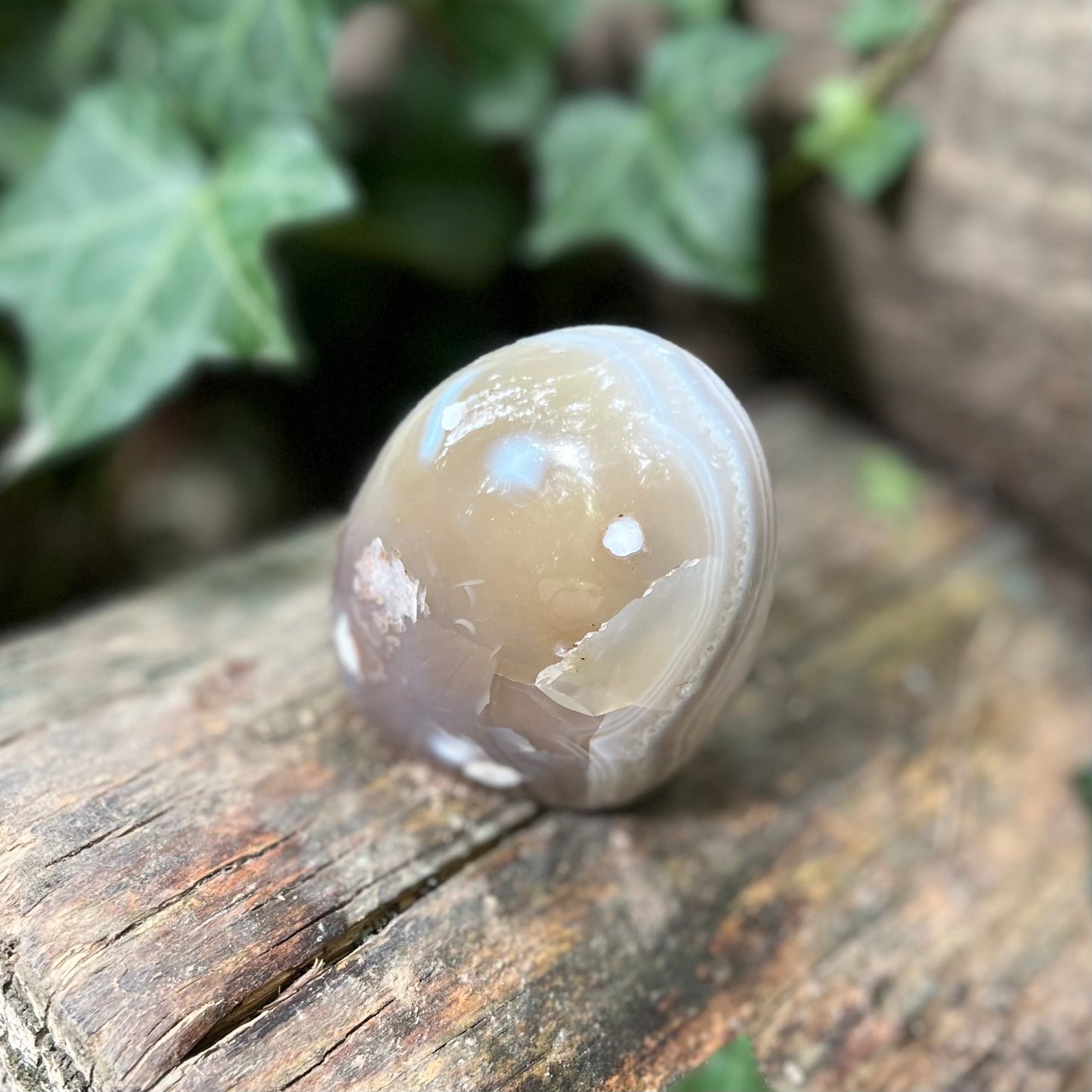 Forme libre Agate - 260g