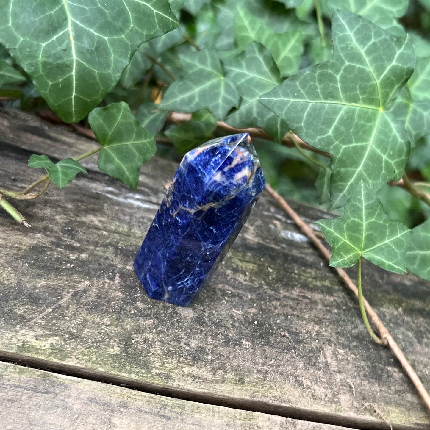 Pointe Sodalite - 55g