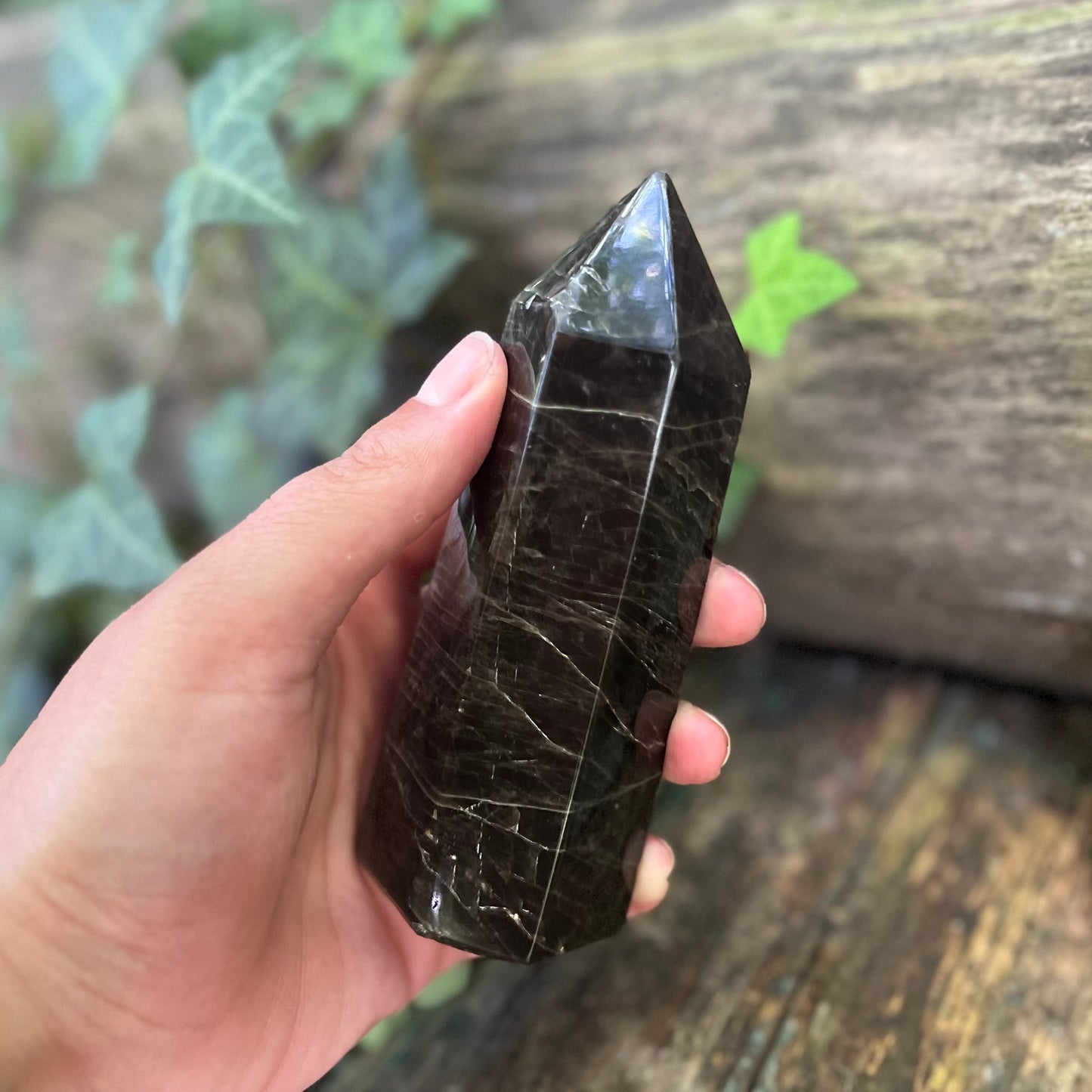 Pointe Pierre de lune noire - 320g