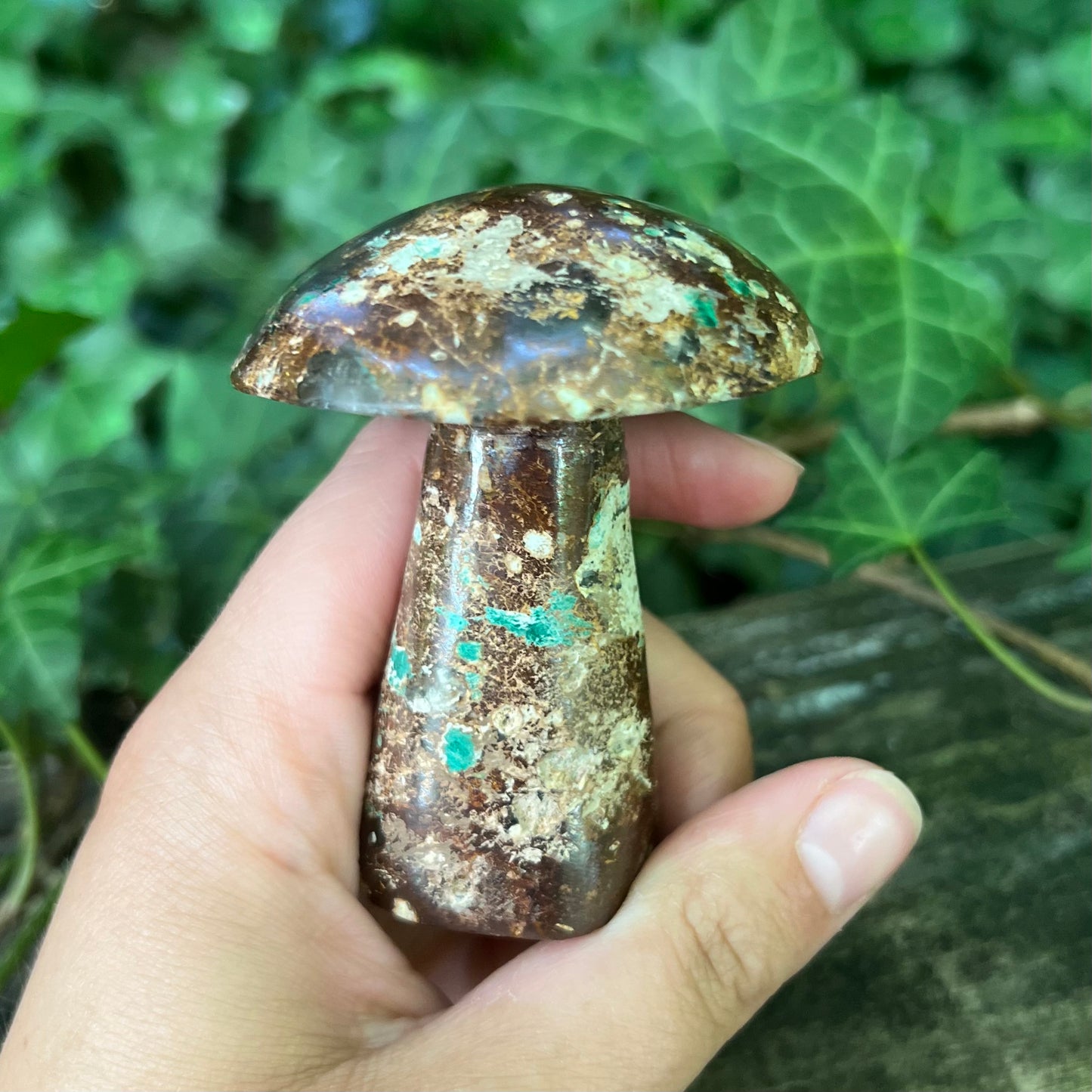 Champignon Chrysocolle - 190g