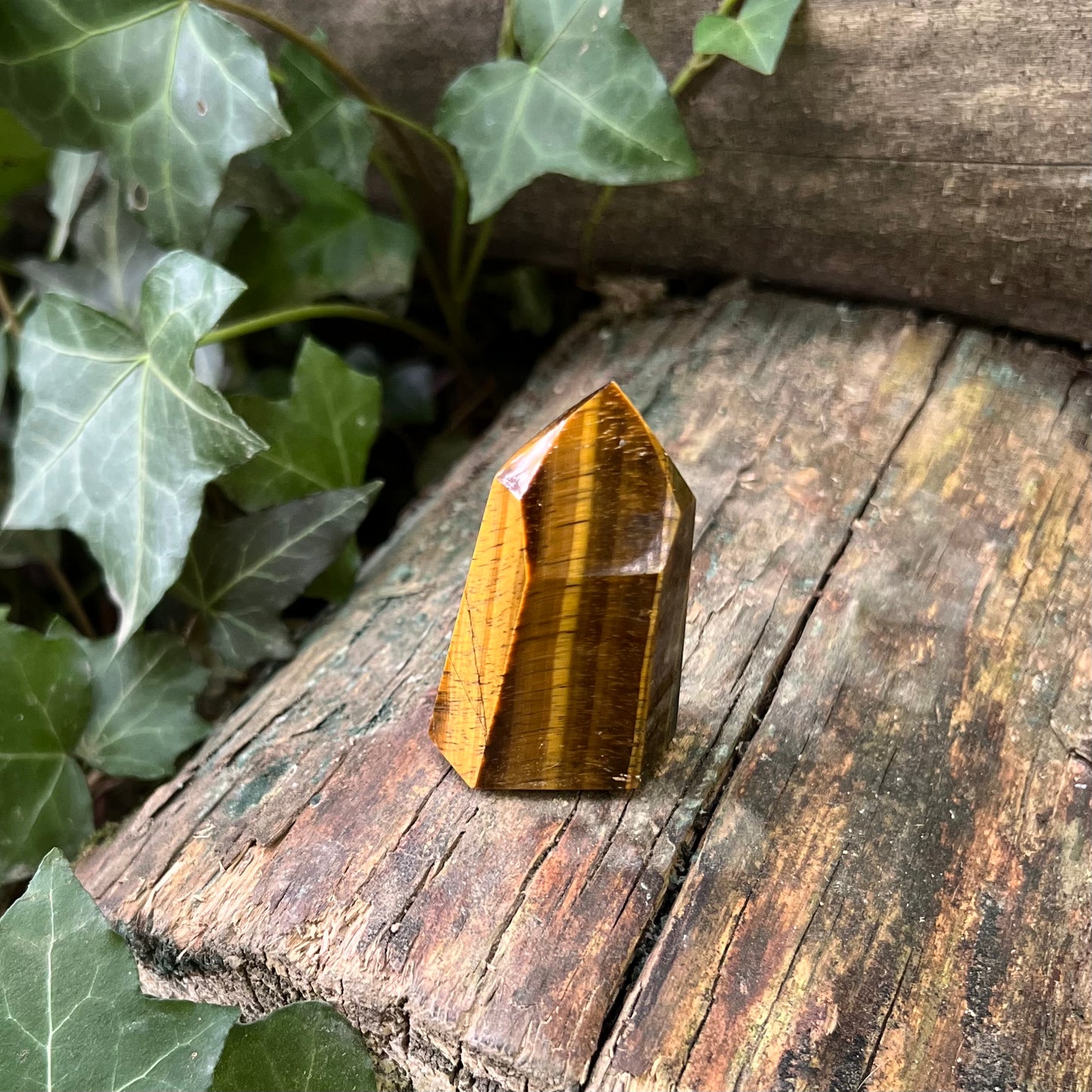 Pointe Oeil de tigre - 55g