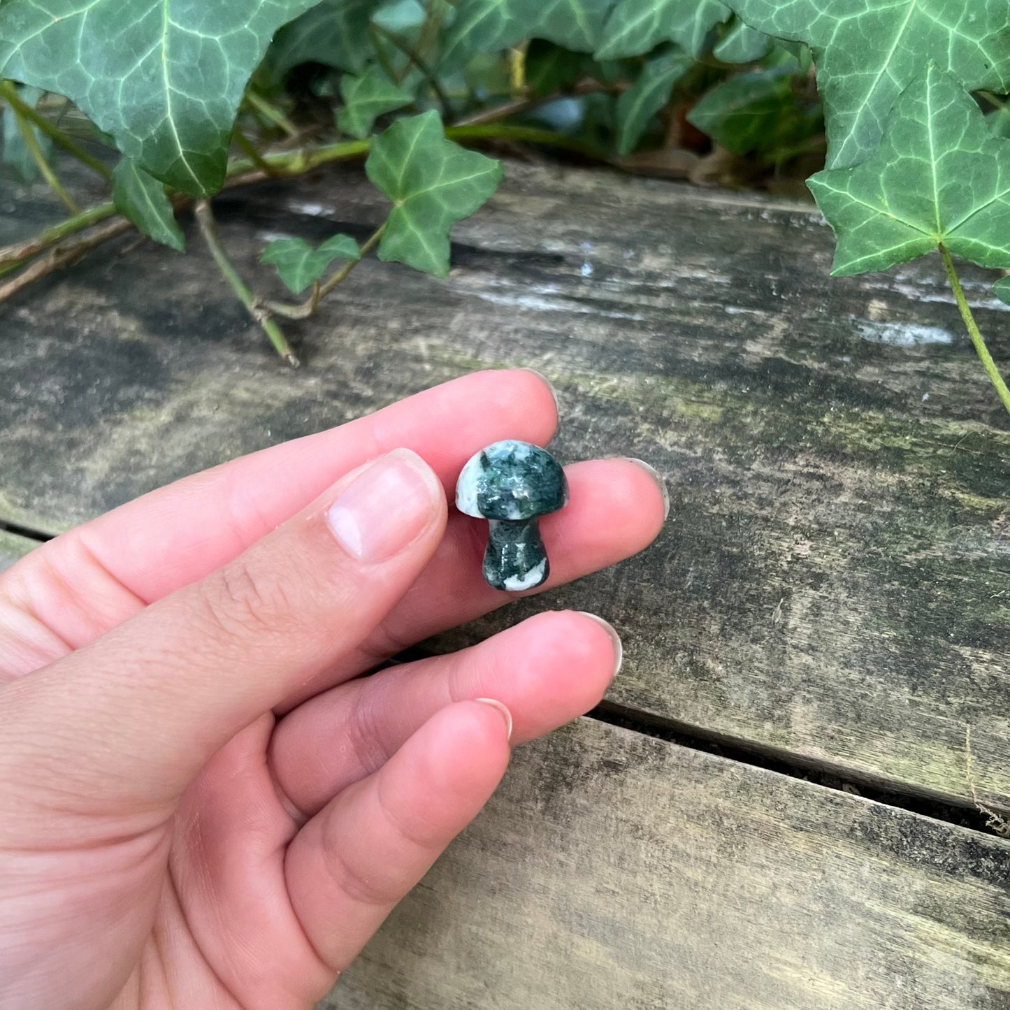 Mini champignon Agate mousse