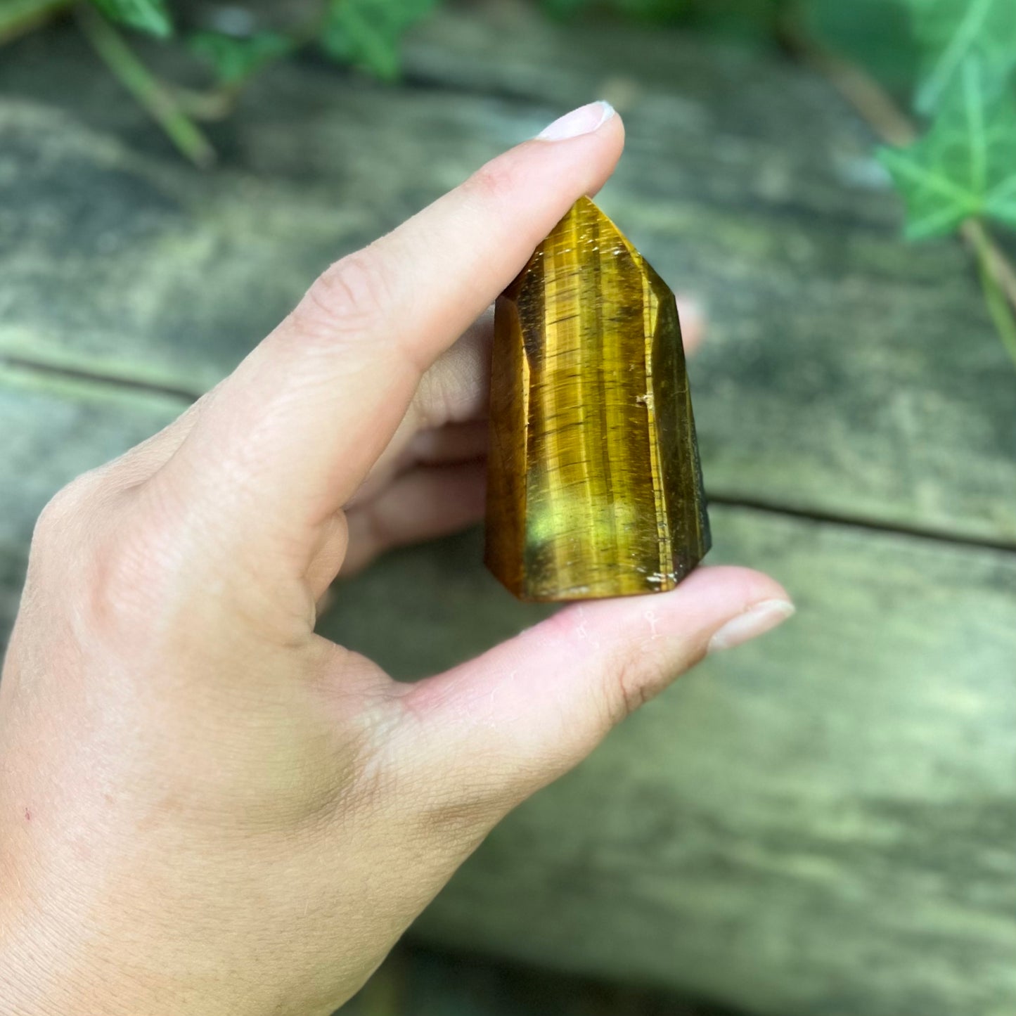 Pointe Oeil de tigre - 55g