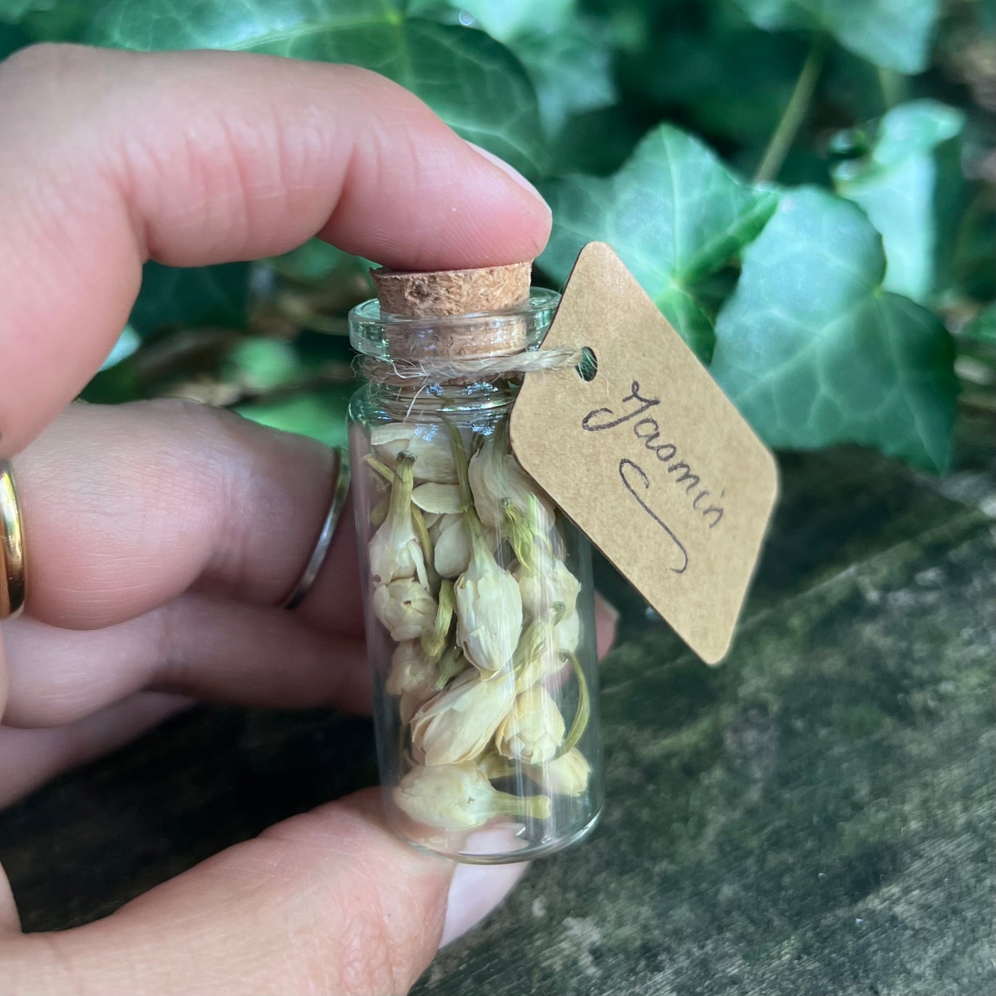 Fiole de Jasmin séché / Amour - Prophétie - Chance