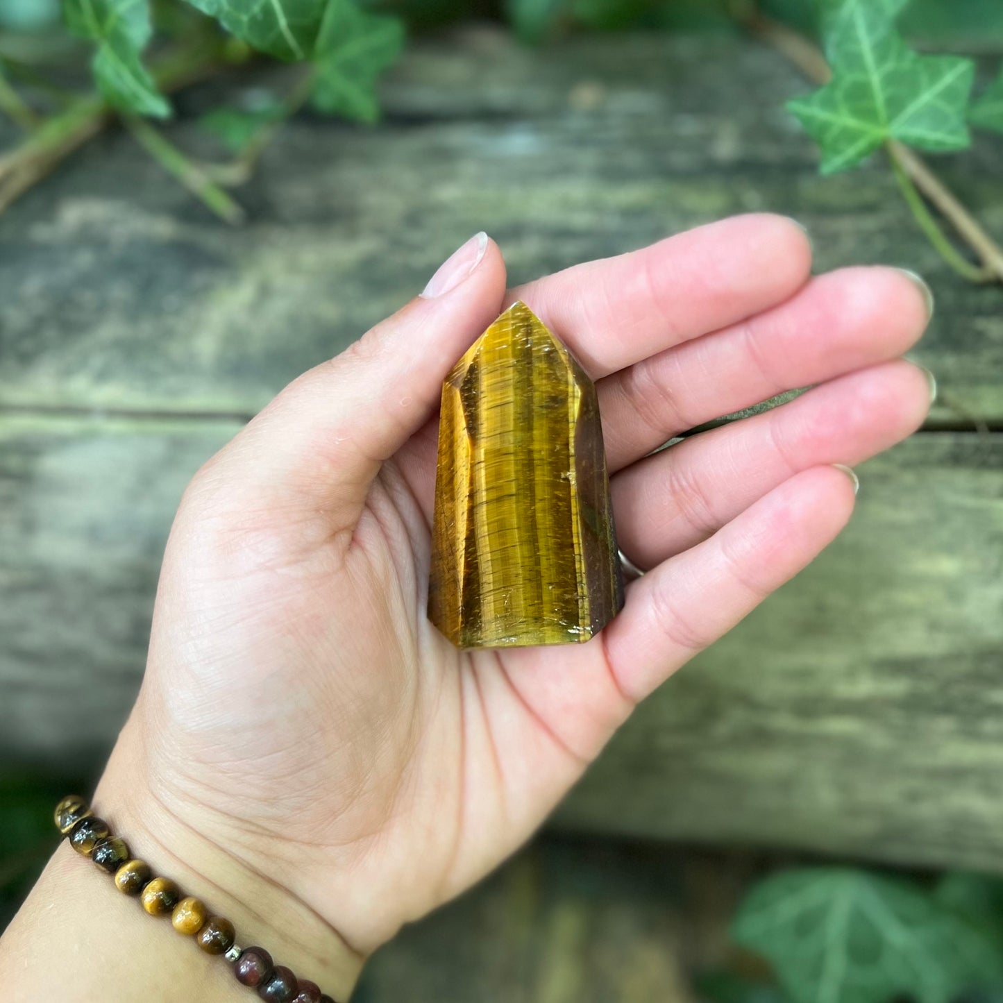 Pointe Oeil de tigre - 55g