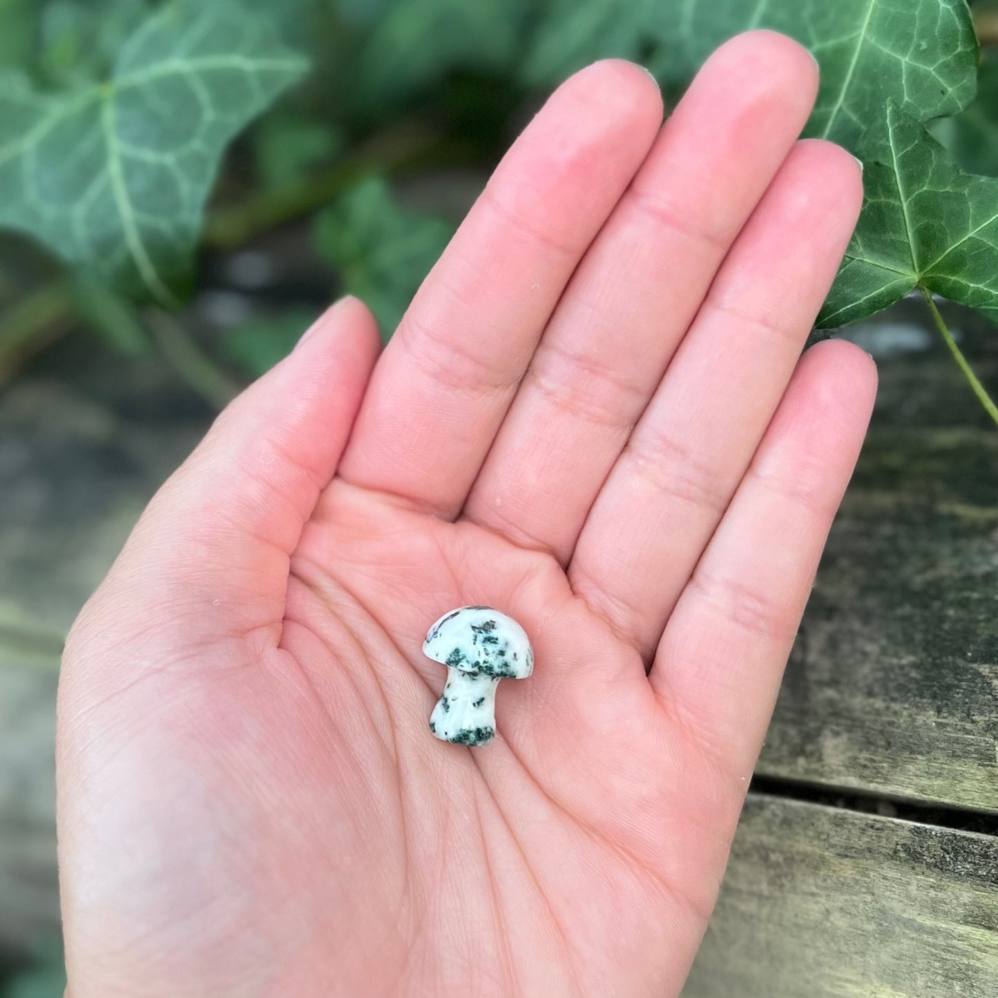 Mini champignon Agate mousse