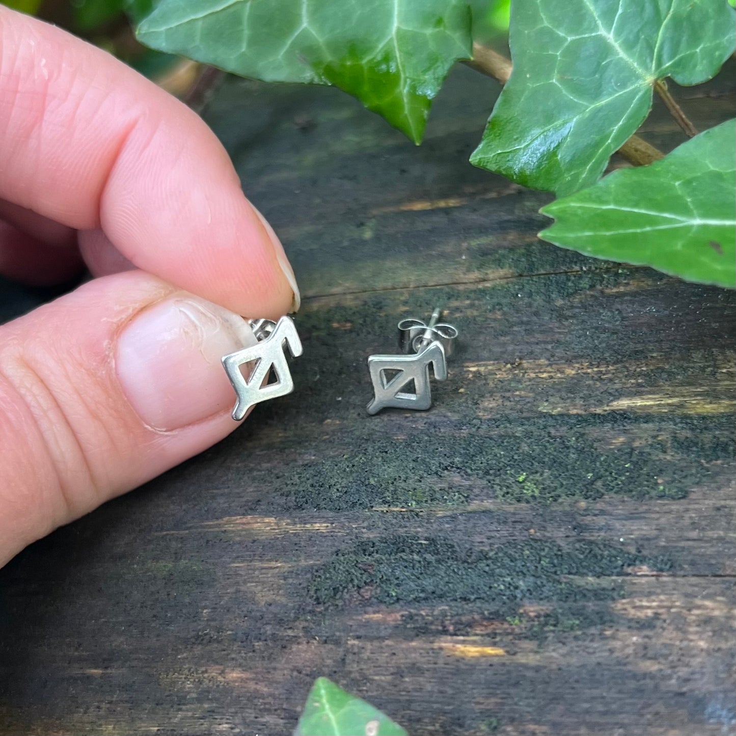 Boucles d’oreilles rune de la santé - acier inoxydable