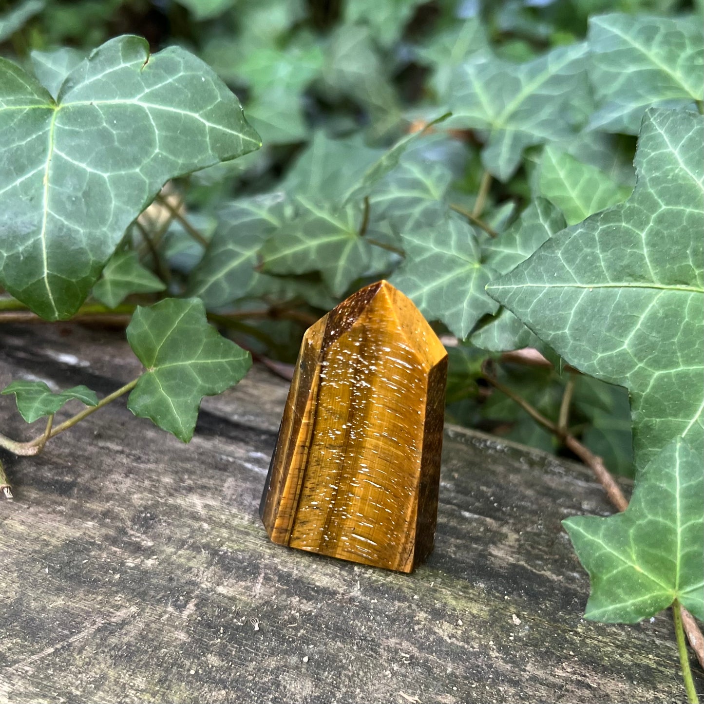 Pointe Oeil de tigre - 55g
