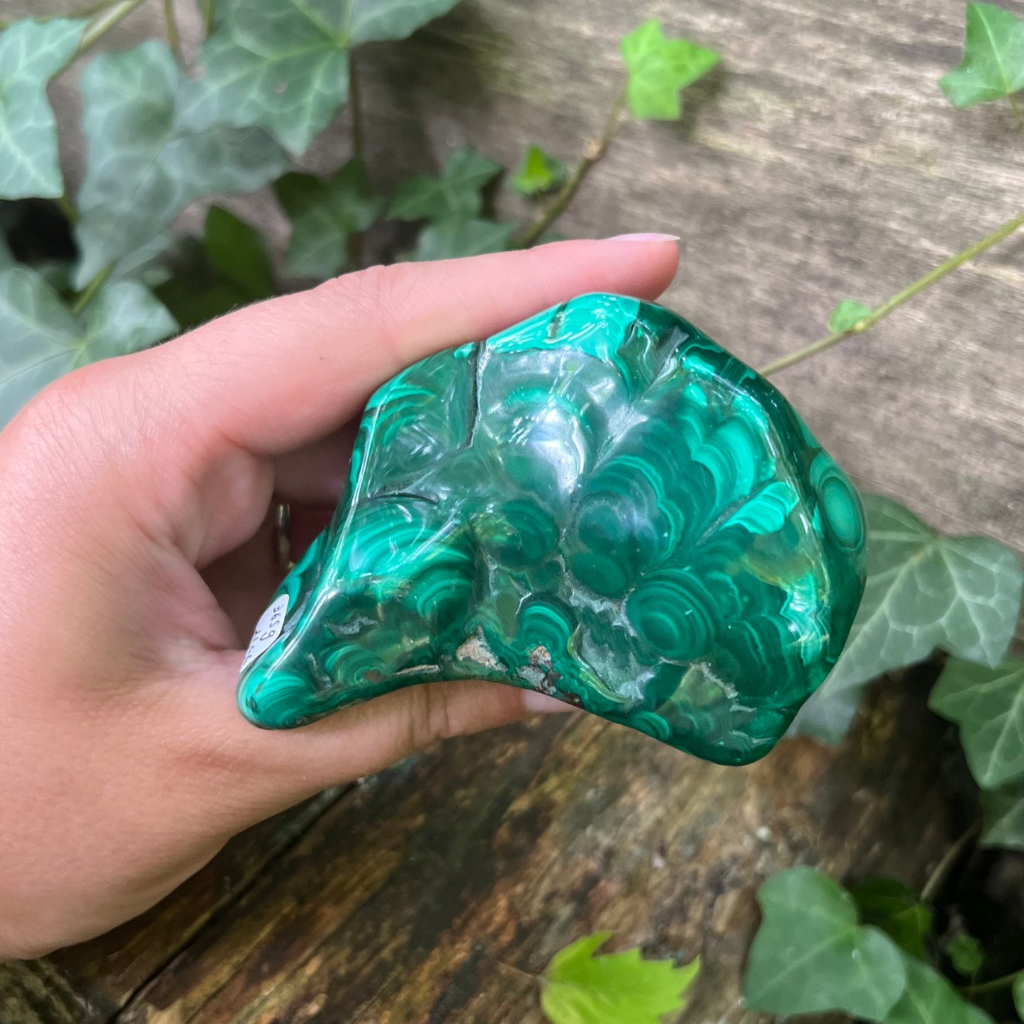 Forme libre Malachite naturelle - 365g