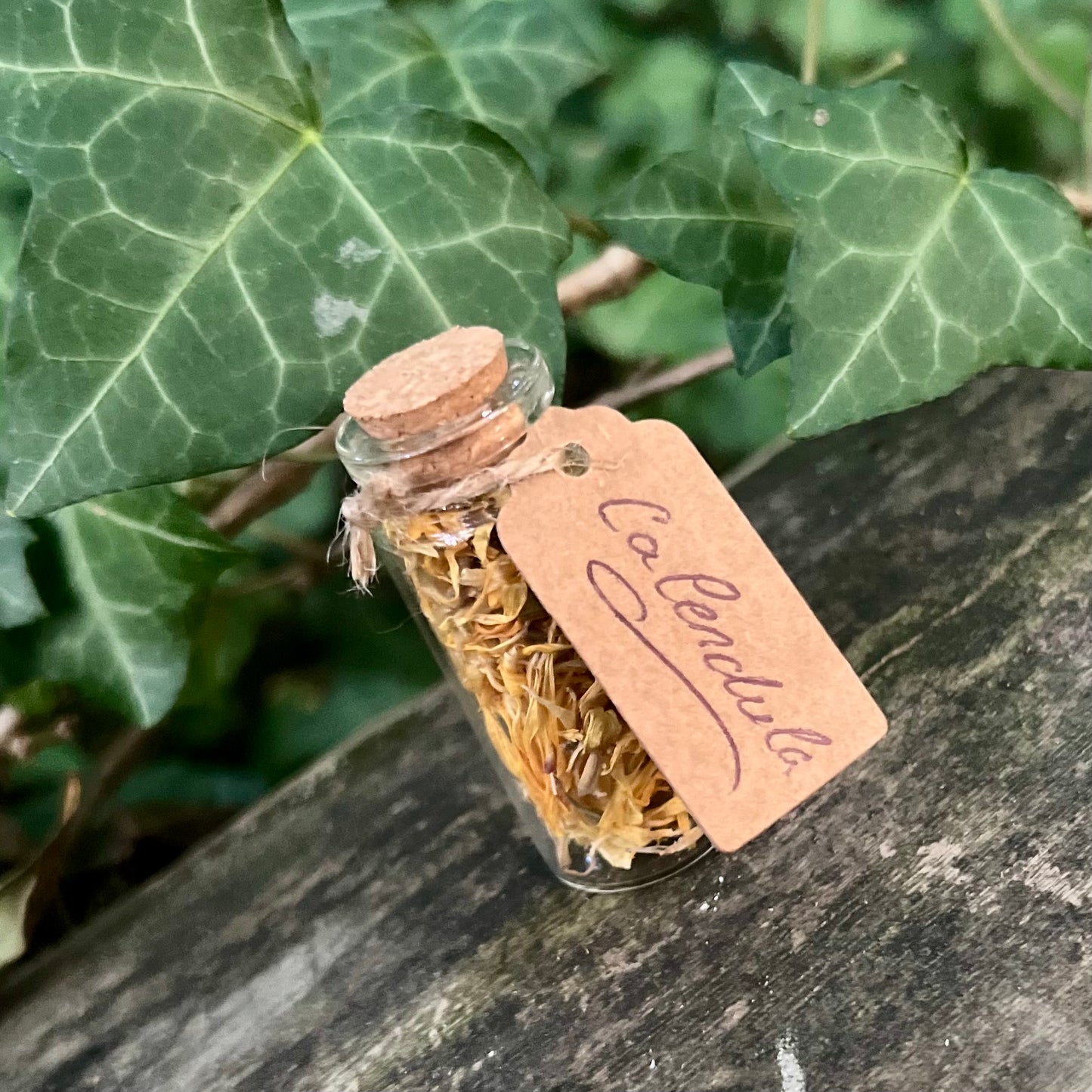 Fiole de Calendula séchée / Protection - Guérison - Prospérité
