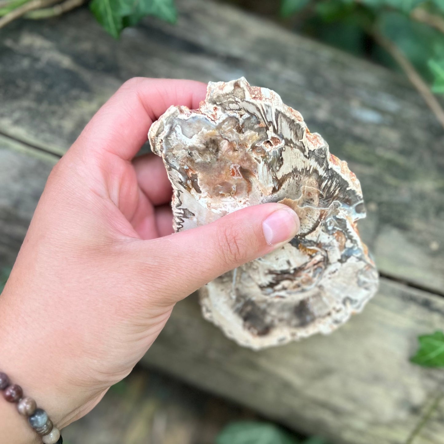 Tranche Bois pétrifié - 295g