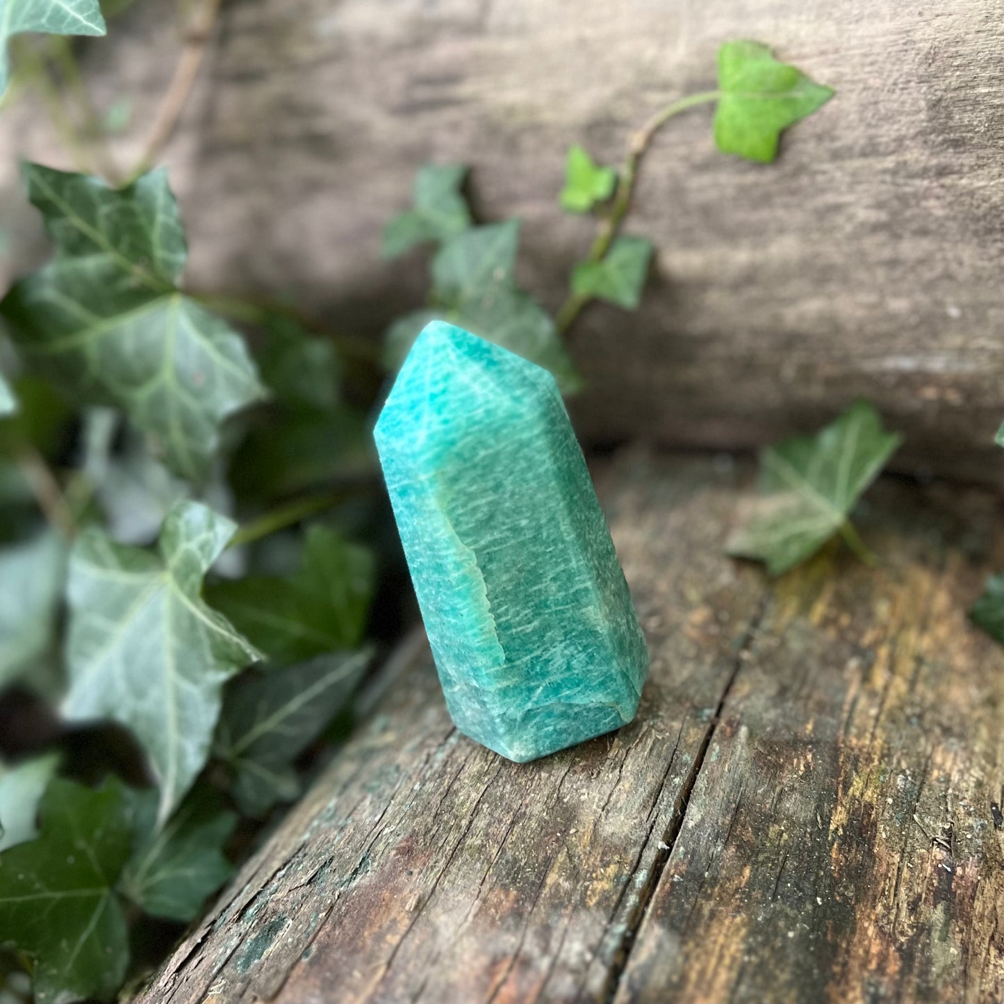 Pointe Amazonite - 170g