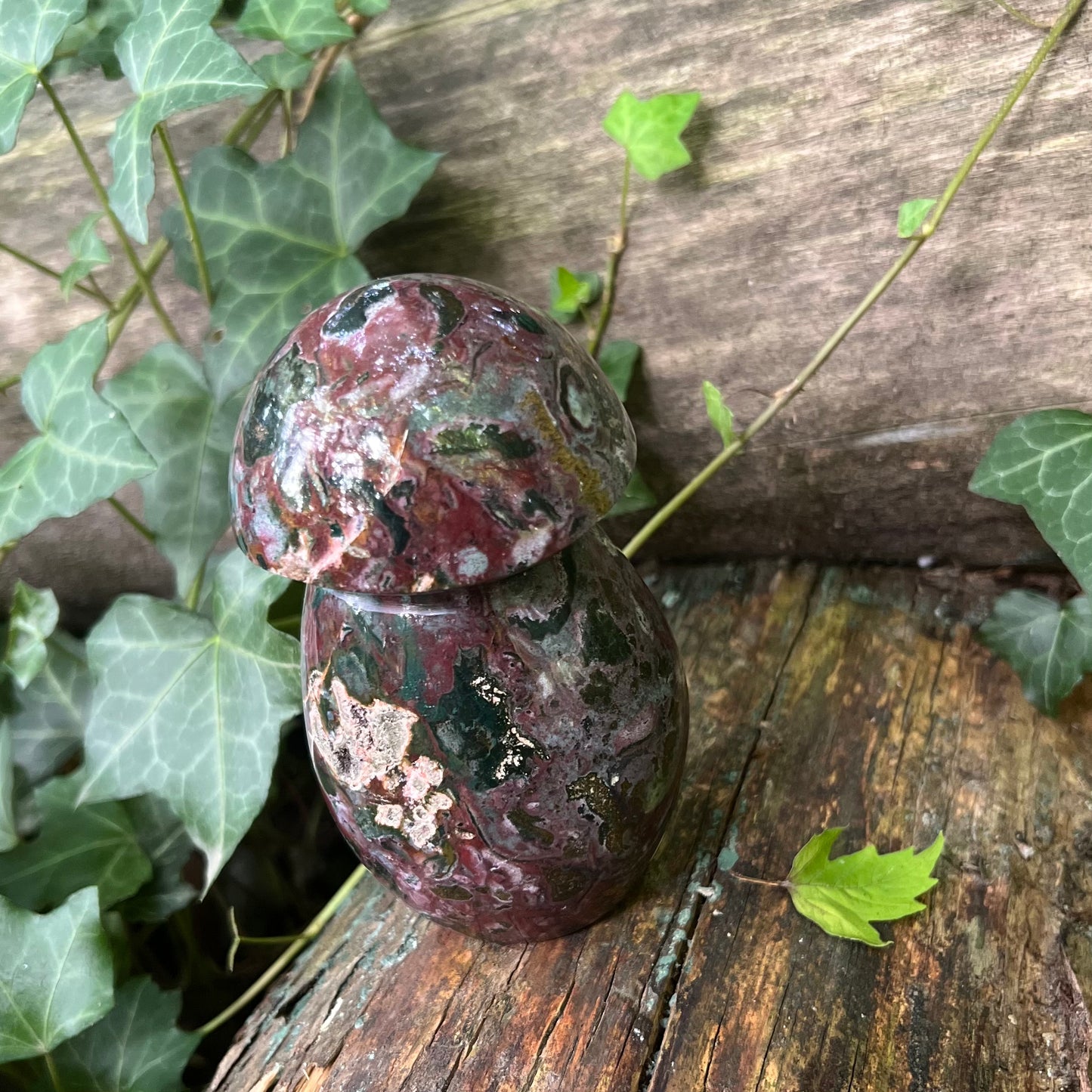 Champignon Jaspe océan - 685g