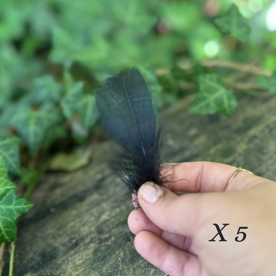 Plumes d’oie noire - x12 plumes