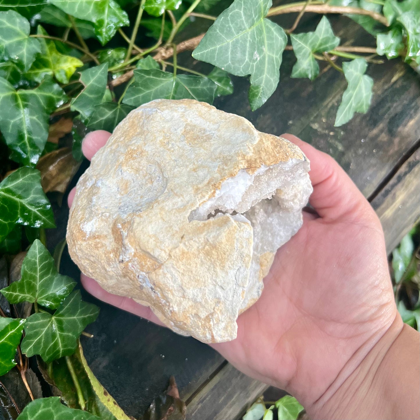 Géode de Quartz - 550 à 700g