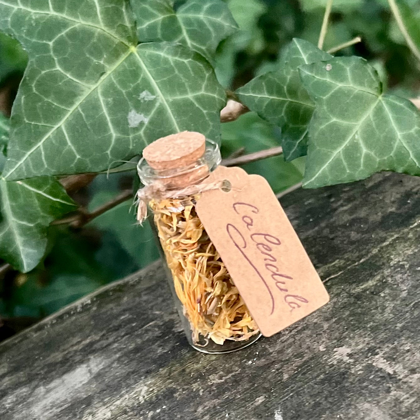 Fiole de Calendula séchée / Protection - Guérison - Prospérité