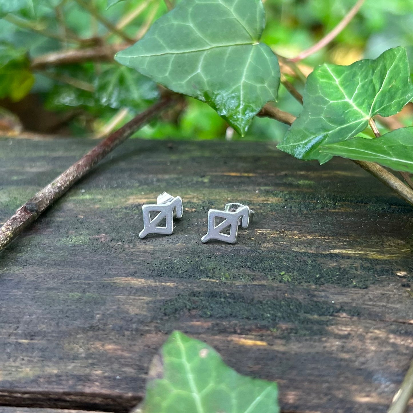 Boucles d’oreilles rune de la santé - acier inoxydable