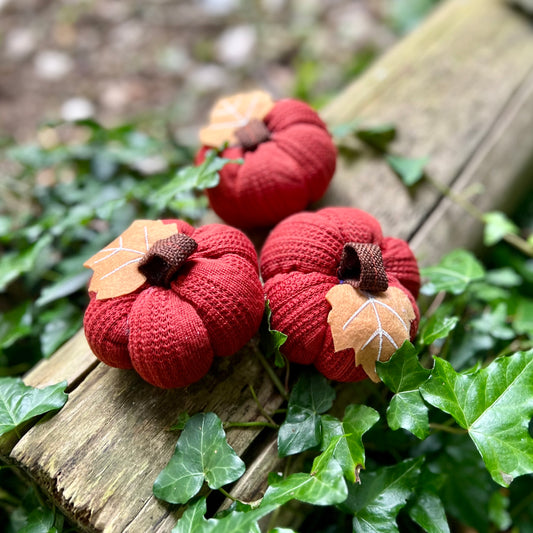 Citrouille de Mabon - Marron