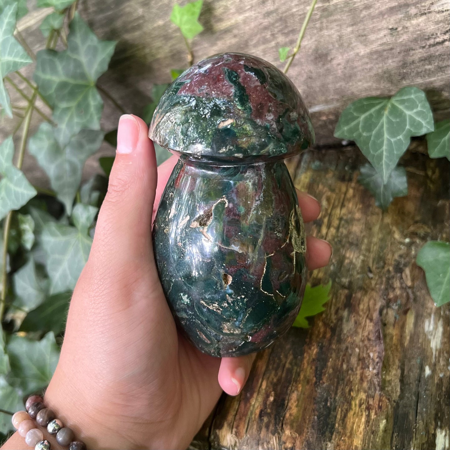 Champignon Jaspe océan - 685g