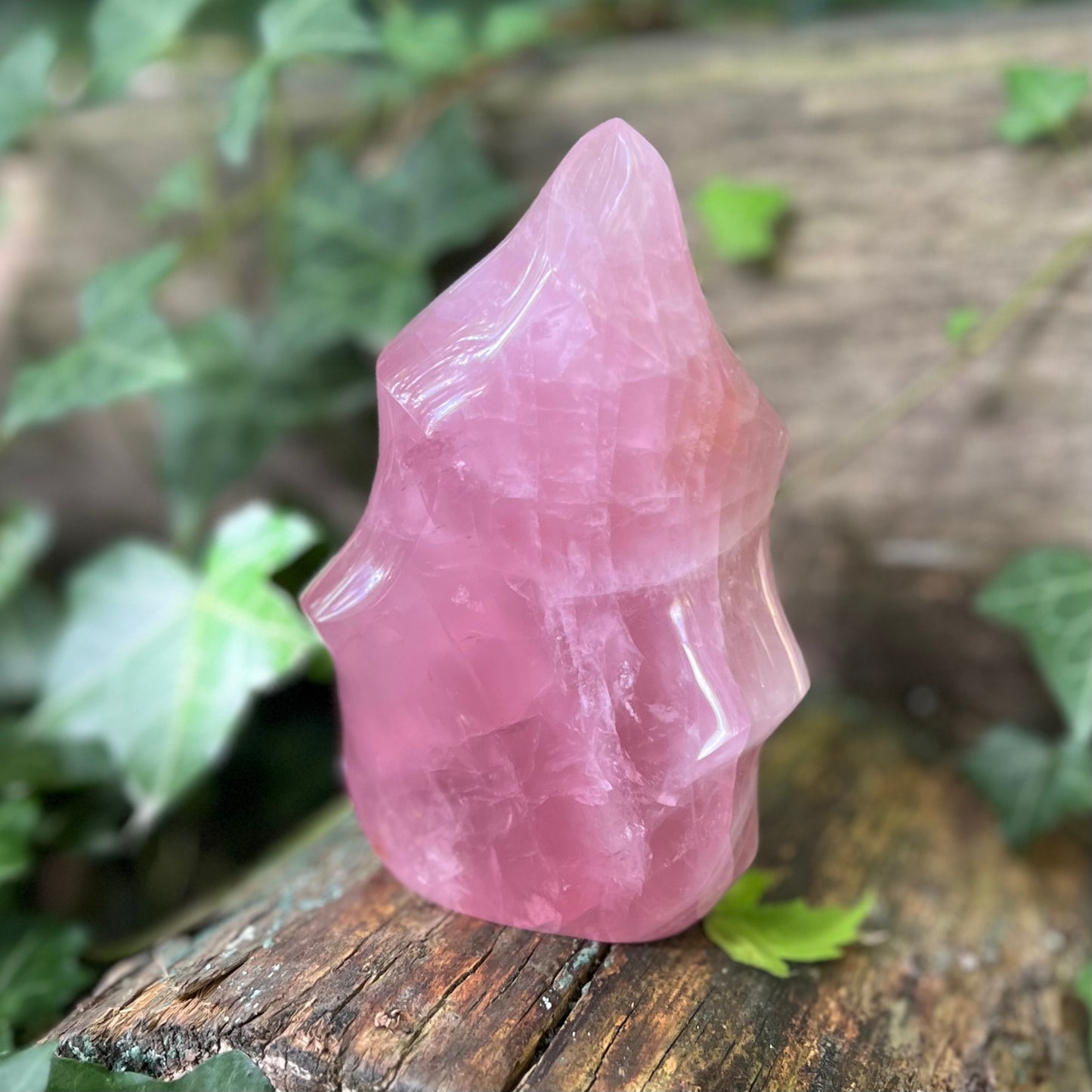 Flamme Quartz rose - 745g