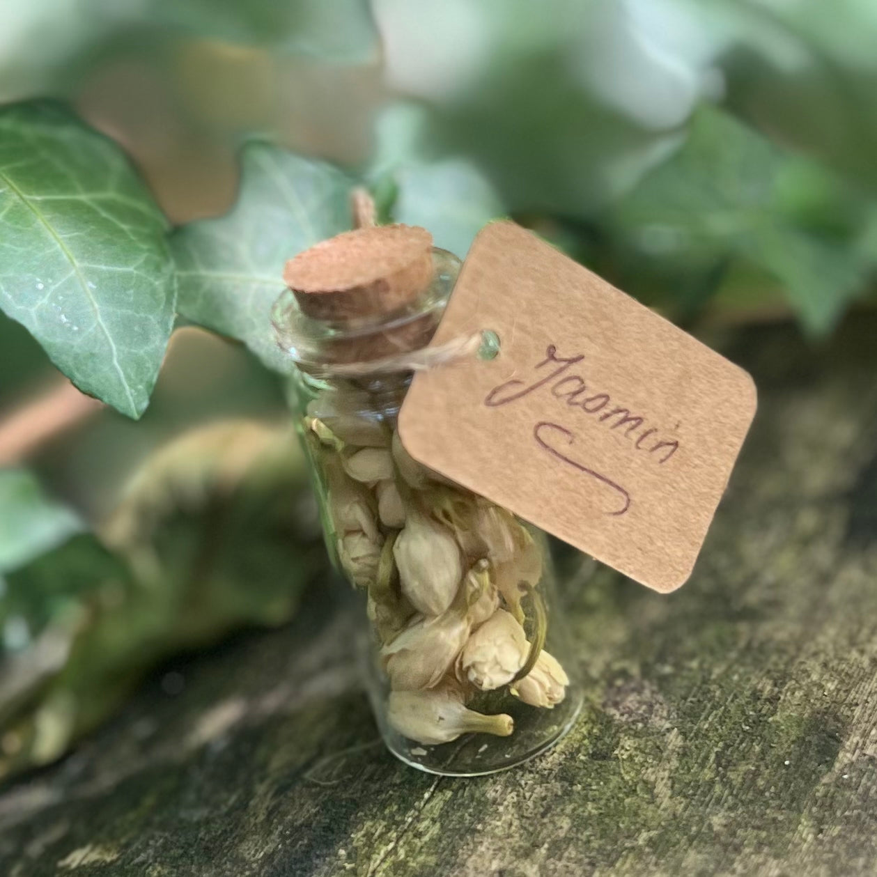 Fiole de Jasmin séché / Amour - Prophétie - Chance