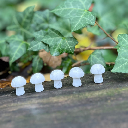 Mini Champignon Howlite