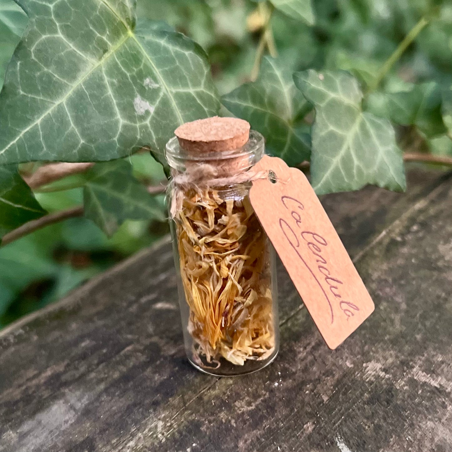 Fiole de Calendula séchée / Protection - Guérison - Prospérité
