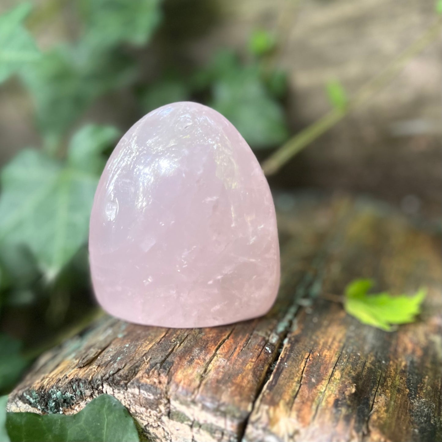 Forme libre Quartz rose - 245g