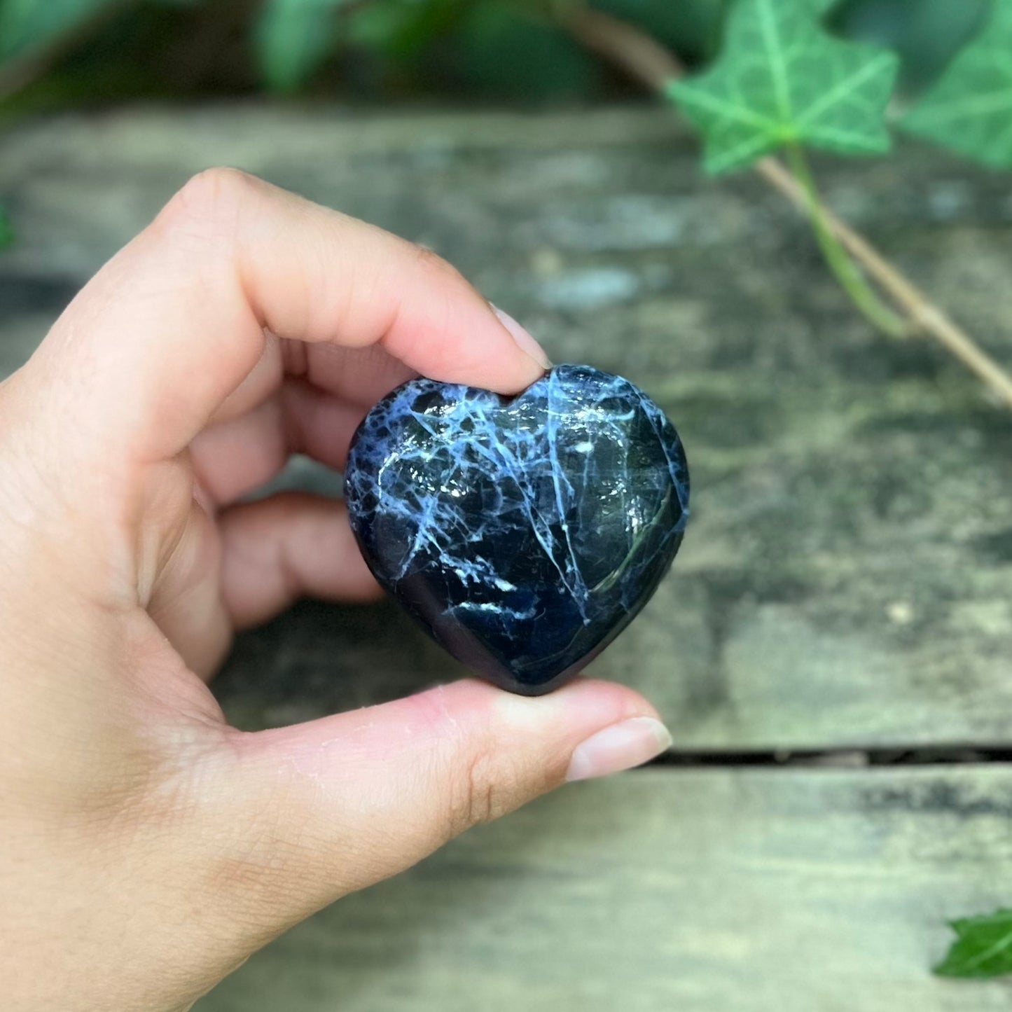 Coeur Sodalite - 50g