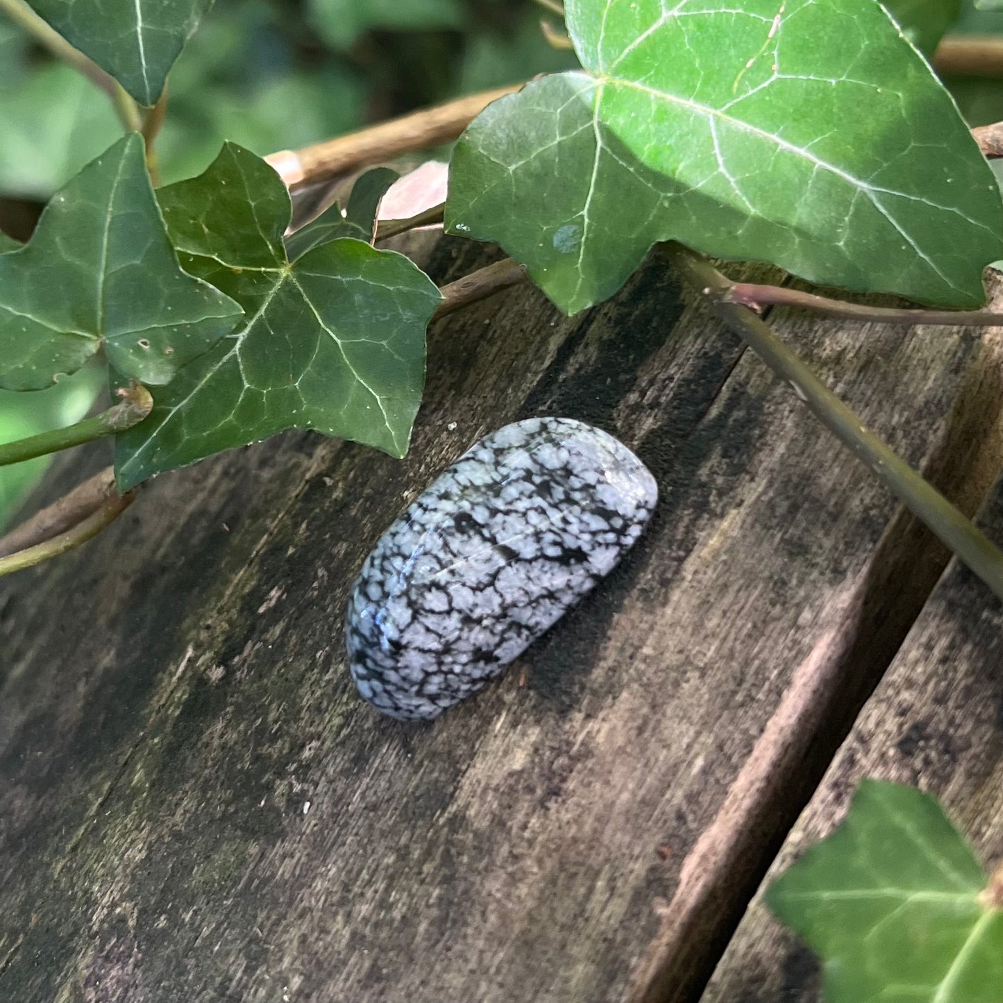 Pierre roulée Obsidienne flocon