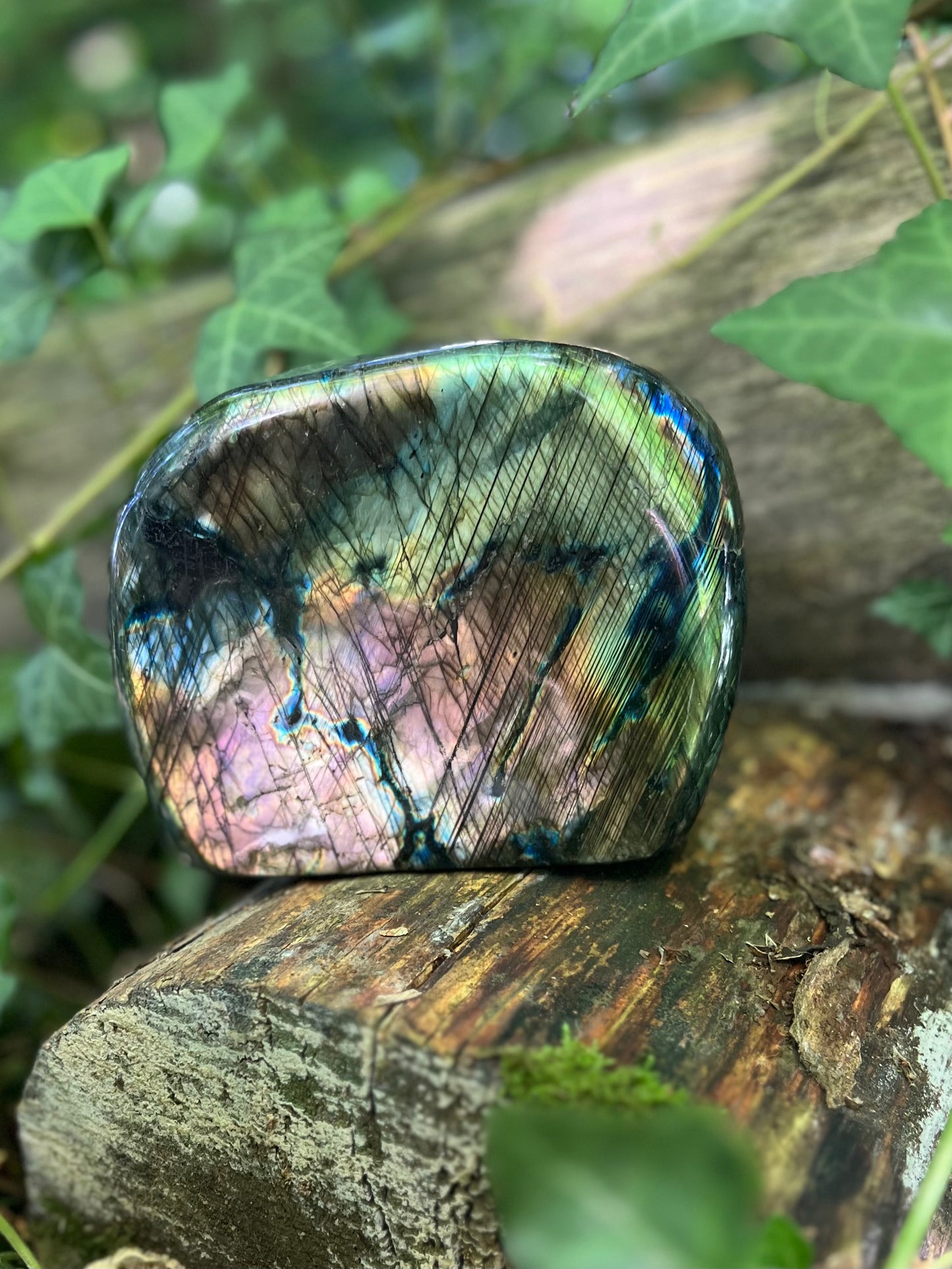 Forme libre Labradorite - 1,3kg