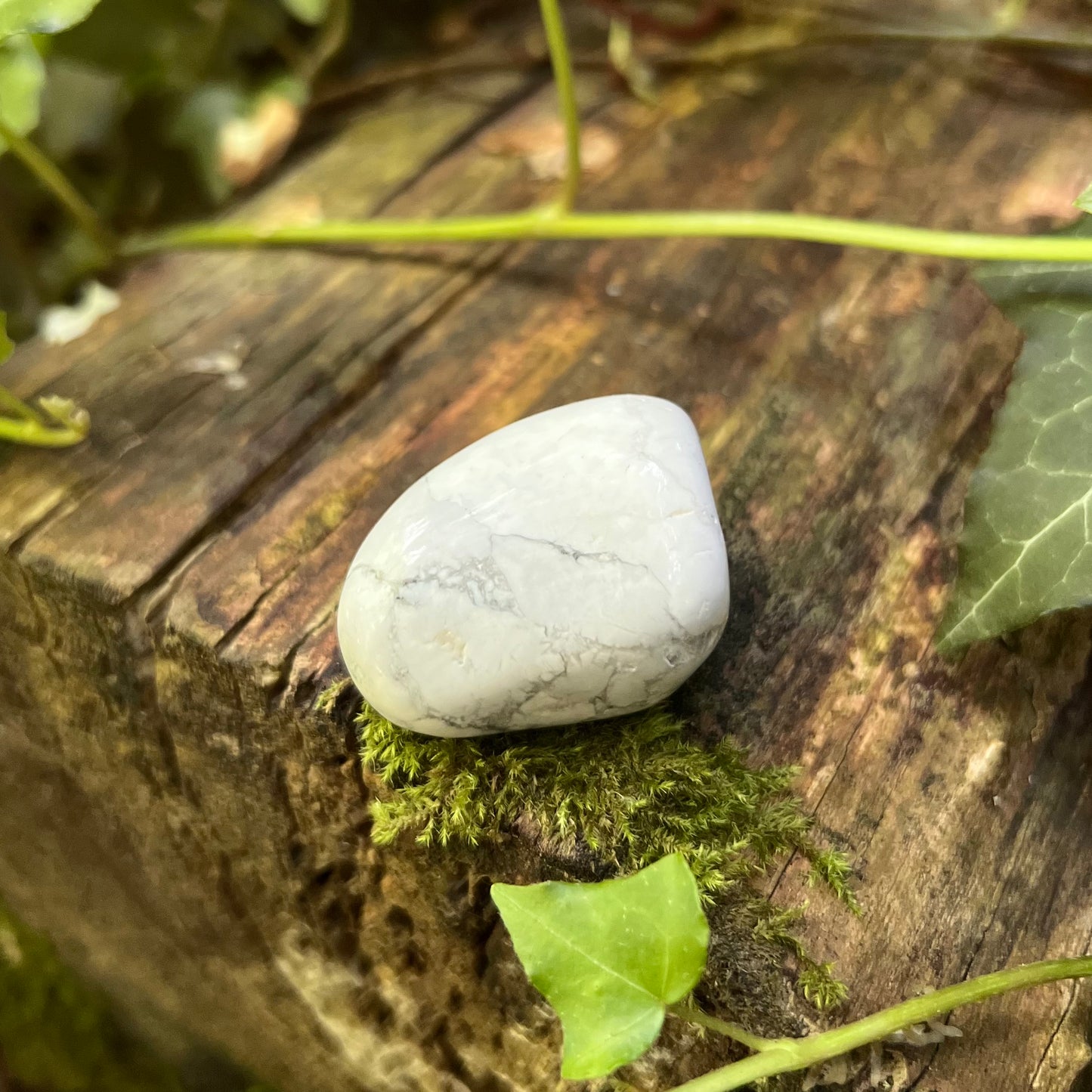 Pierre roulée Howlite