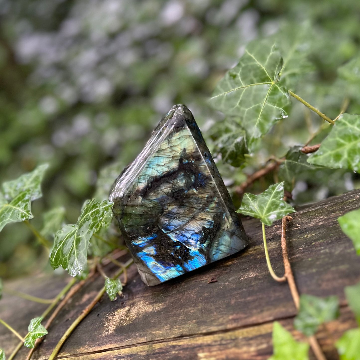 Forme libre Labradorite - 765g