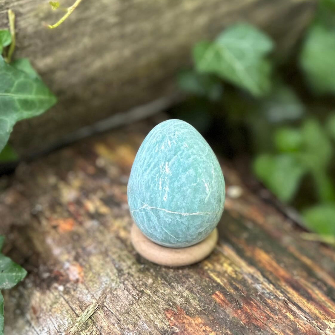 Œuf Amazonite - 155g