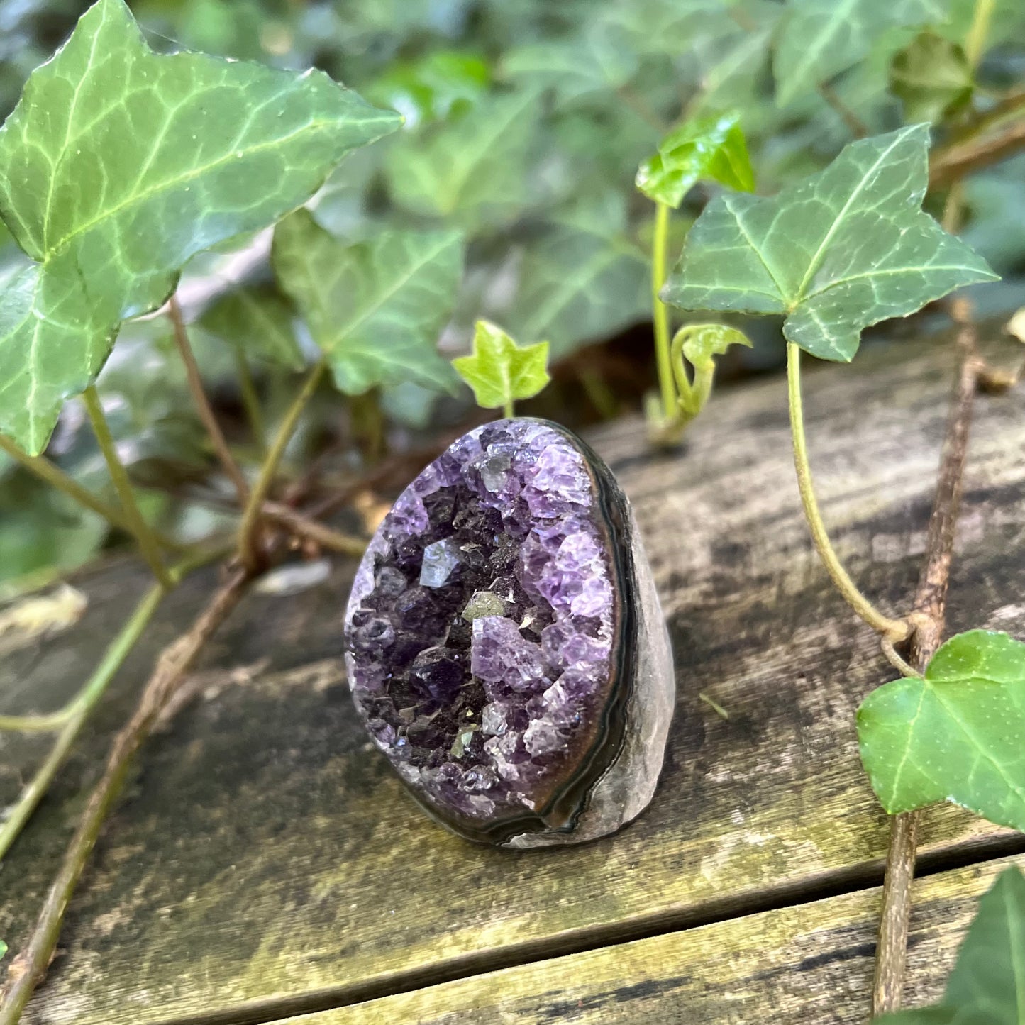 Mini Druse Améthyste