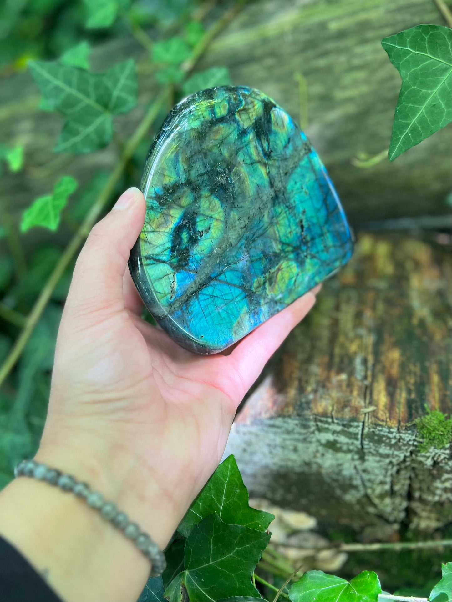 Forme libre Labradorite - 1,2kg