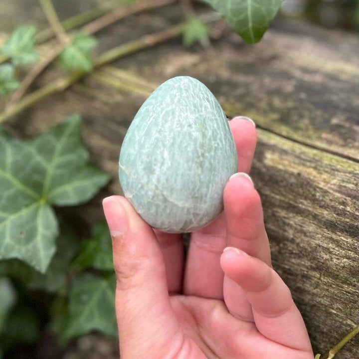 Œuf Amazonite - 155g