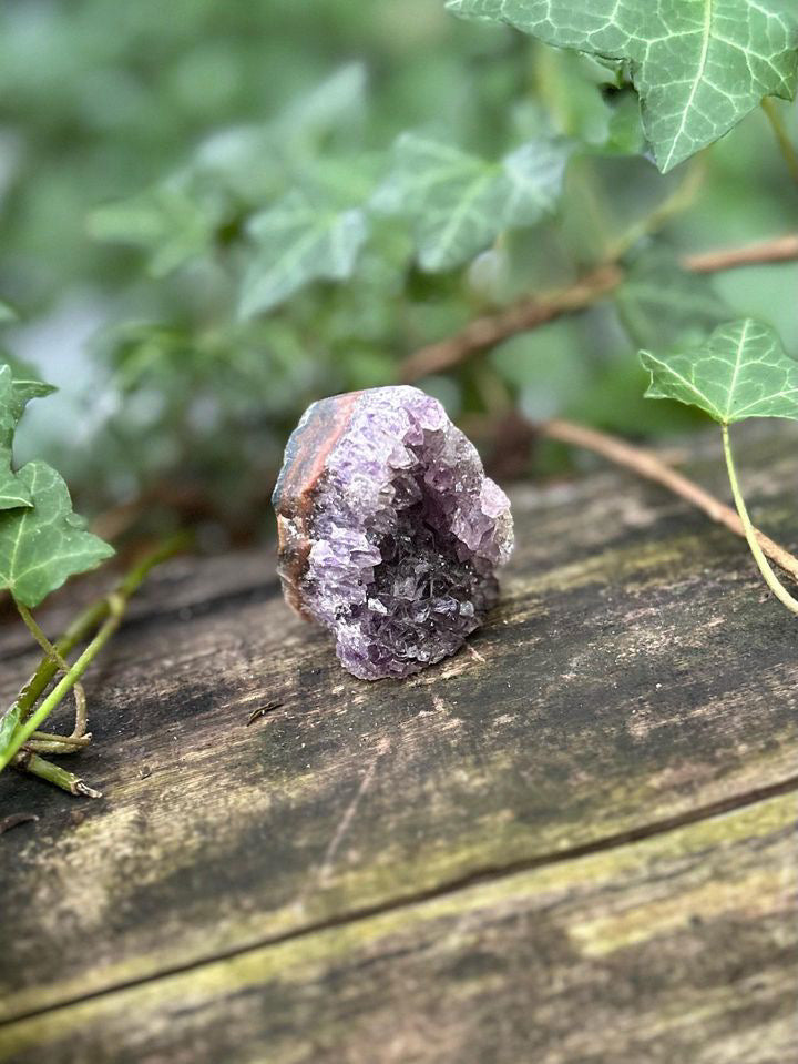 Mini Druse Améthyste - 60g