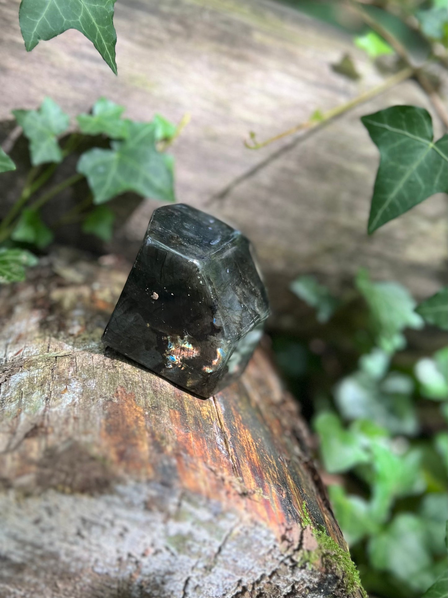 Forme libre Labradorite Spectrolite - 388g