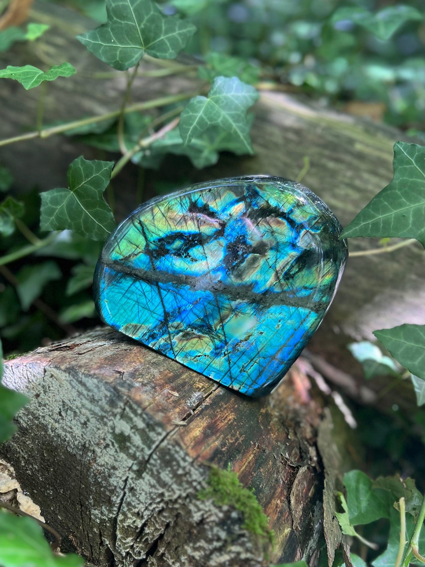 Forme libre Labradorite - 1,2kg