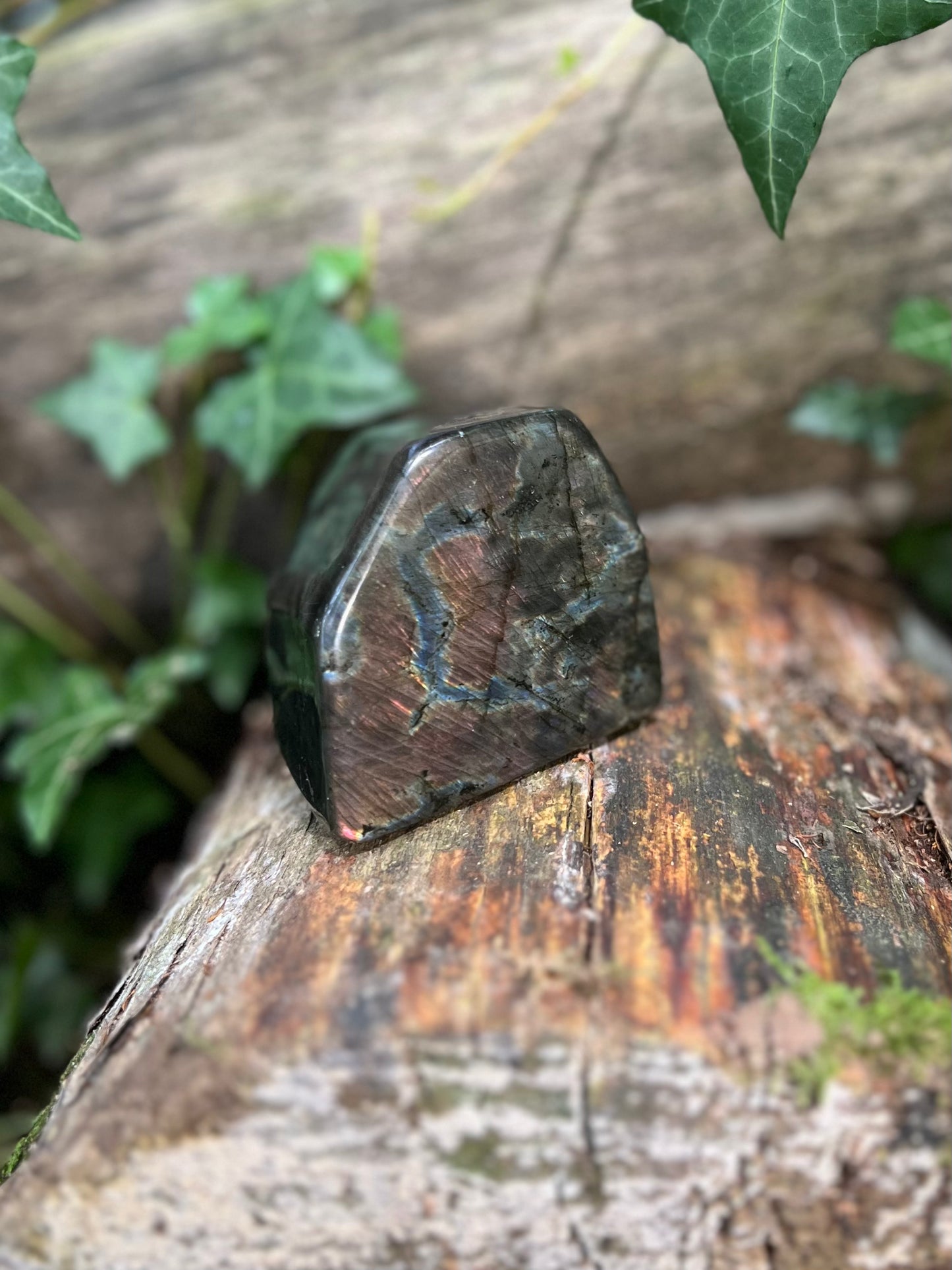Forme libre Labradorite Spectrolite - 388g