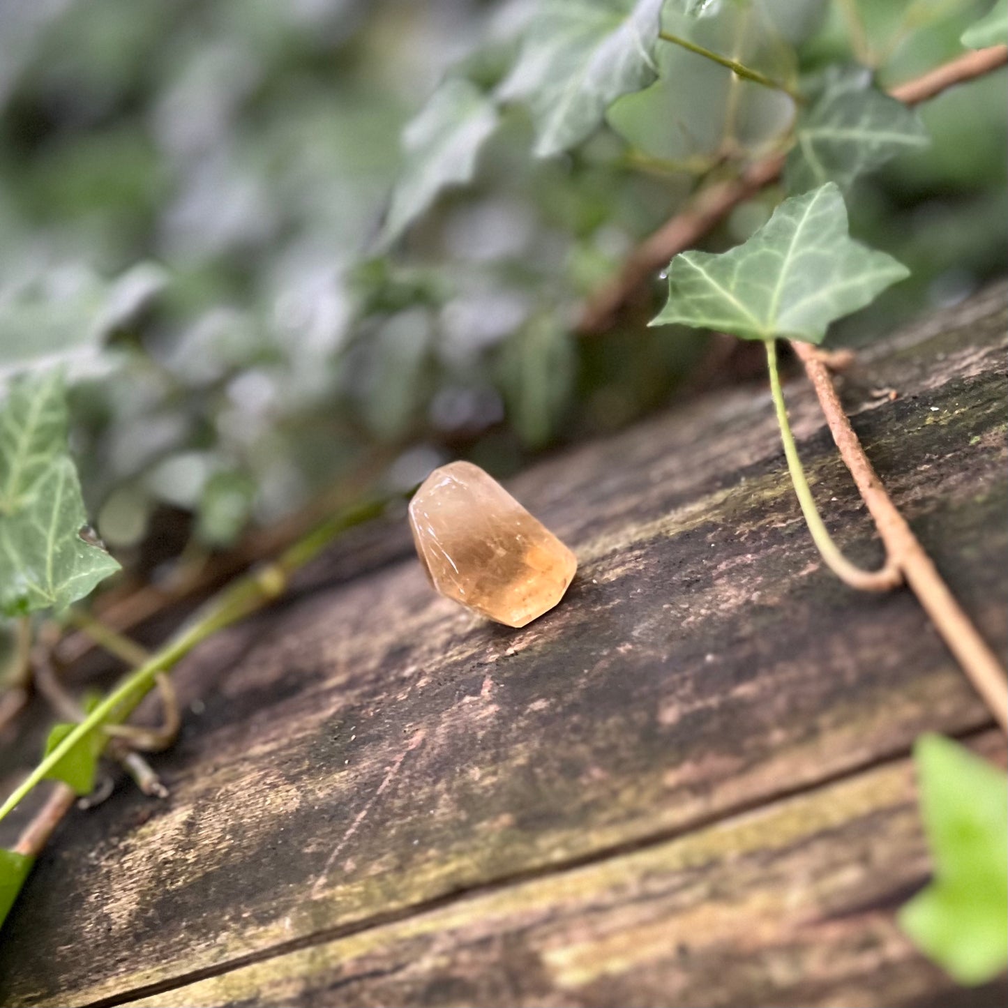 Pointe Citrine naturelle