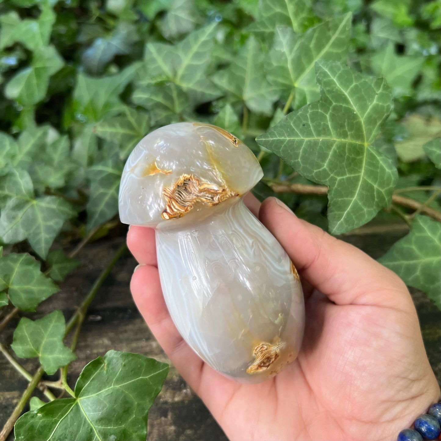 Champignon Agate - 400g