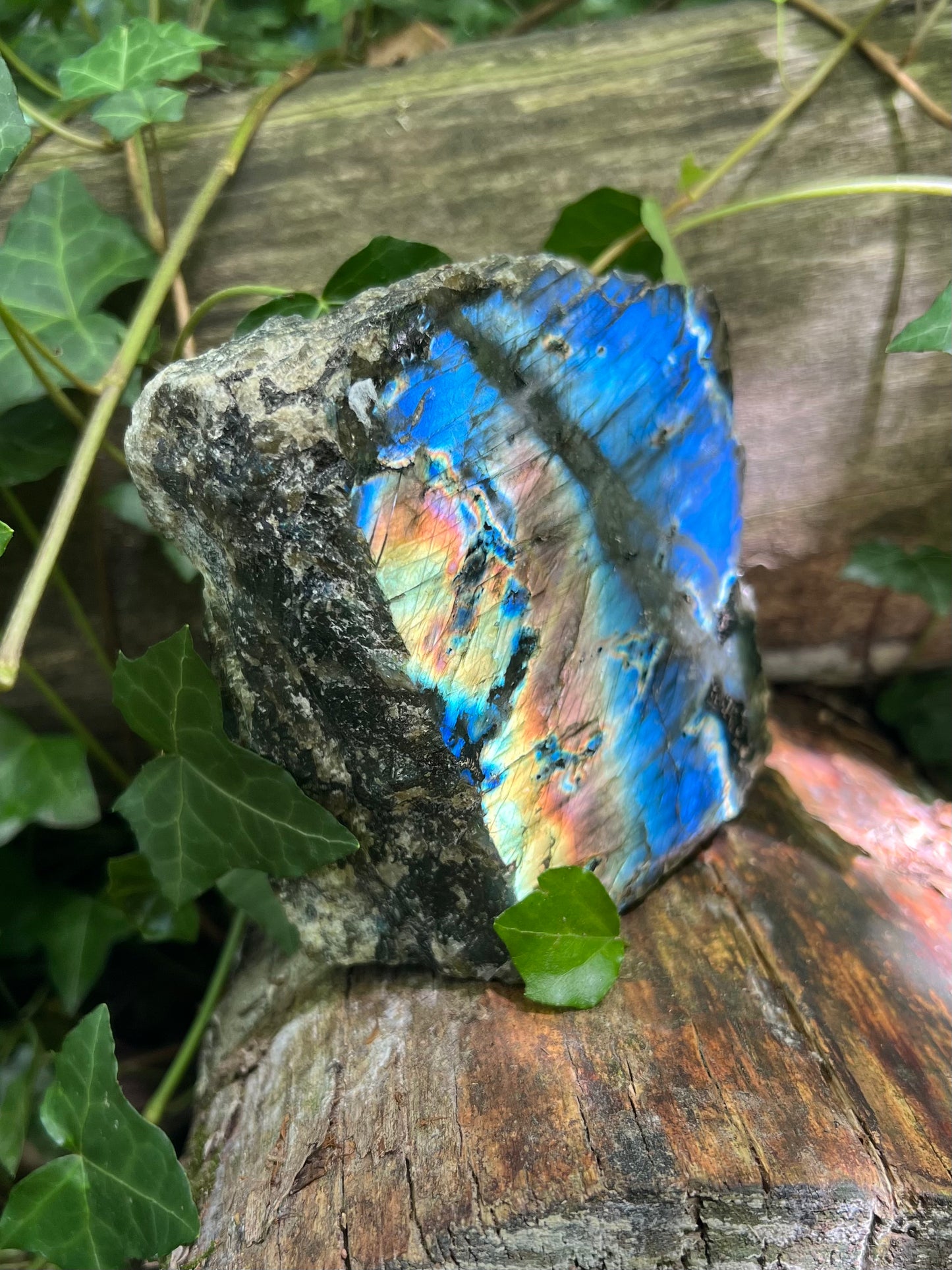 Forme libre Labradorite - face polie pierre brute - 1,1kg